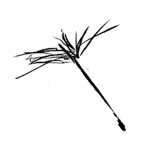 Fictional Dandelion